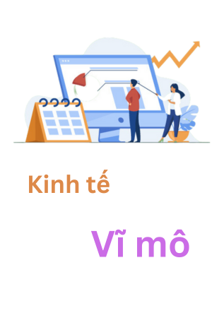 (Beta version) Khóa học thử nghiệm Kinh Tế Vĩ Mô