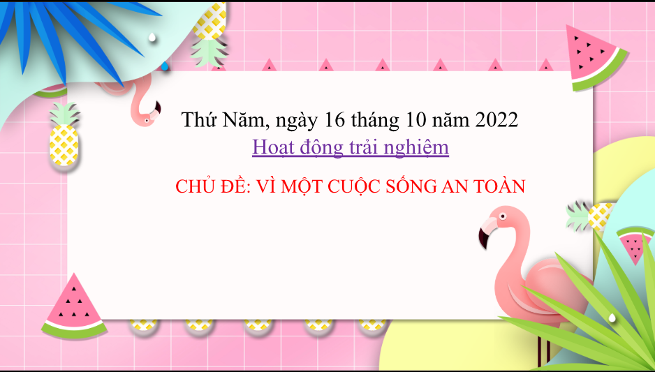 ALBUM ẢNH TIẾT HỌC - CÔ THU THÚY